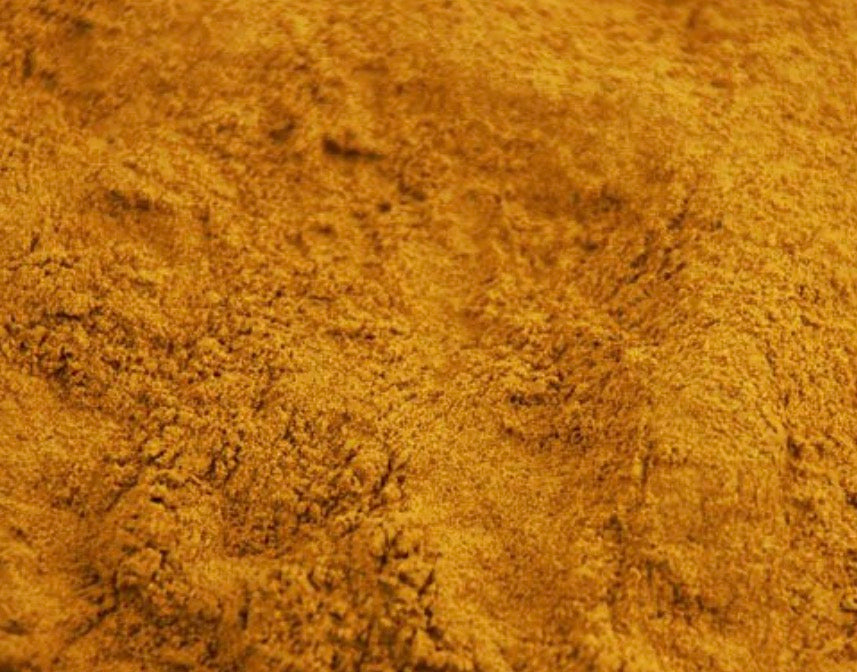Rhubarb Root Powder (Rheum palmatum)