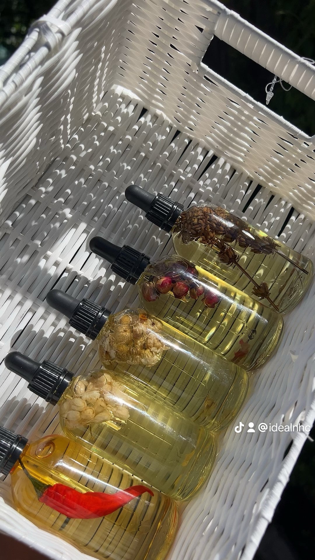 Herbal Oils Luxe Collection Glass Bottles Natural Infusions