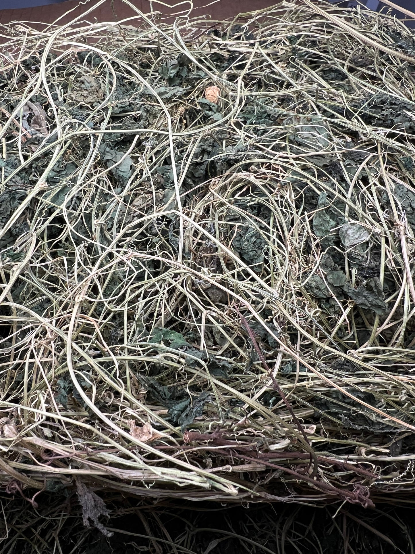 Genuine wild-harvested Cerasee 50g Grenada sourced 100% Natural