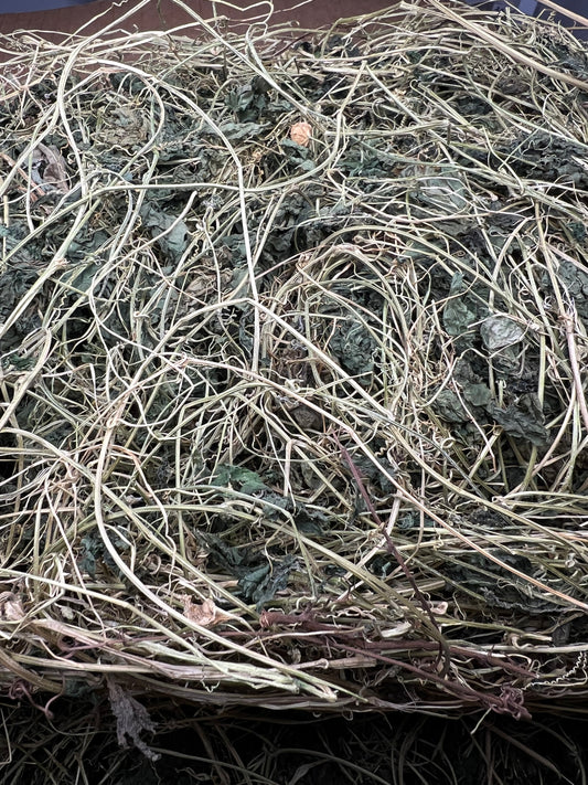 Genuine wild-harvested Cerasee 50g Grenada sourced 100% Natural