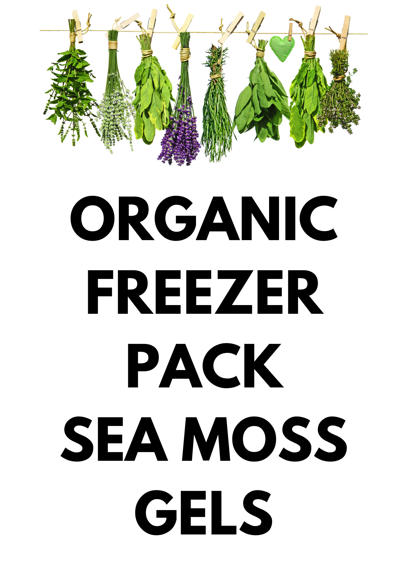 Freezer pack Sea Moss Gels