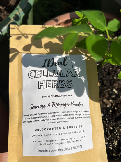 Authentic wild crafted seamoss and Moringa powder-100% Organic herbs