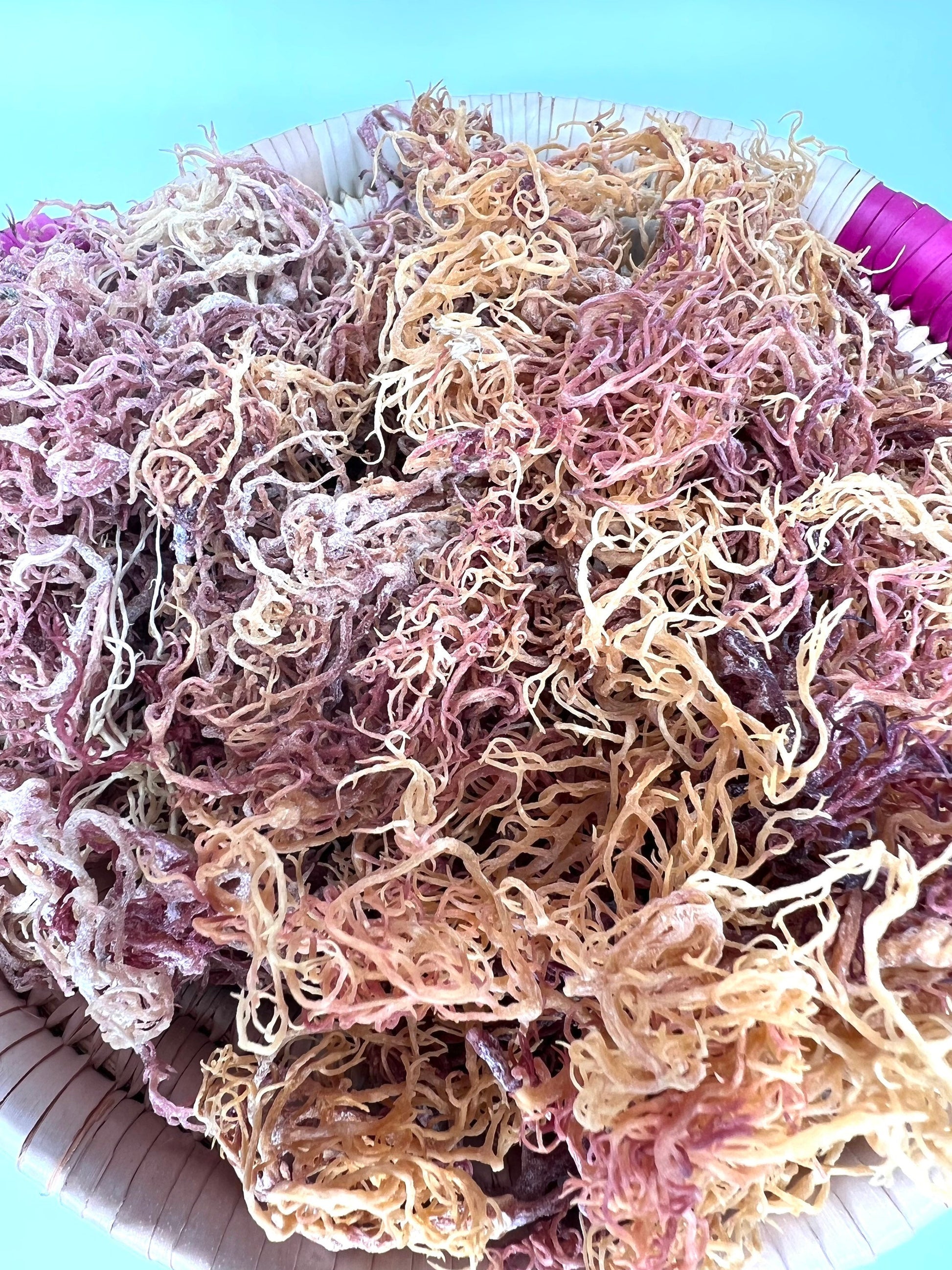 IDeal 100% wild crafted, sun dried Golden & Purple seamoss (premium mix) Gold Eucheuma cottonii-Dr.sebi grade