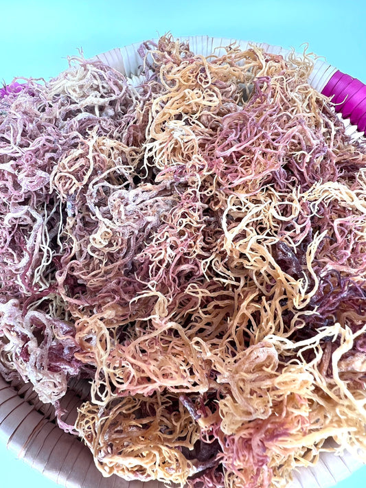 IDeal 100% wild crafted, sun dried Golden & Purple seamoss (premium mix) Gold Eucheuma cottonii-Dr.sebi grade
