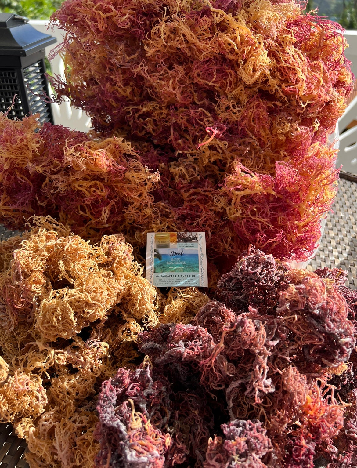 Dr Sebi Grade Full spectrum Sea Moss Organic & Wildcrafted From Grenada