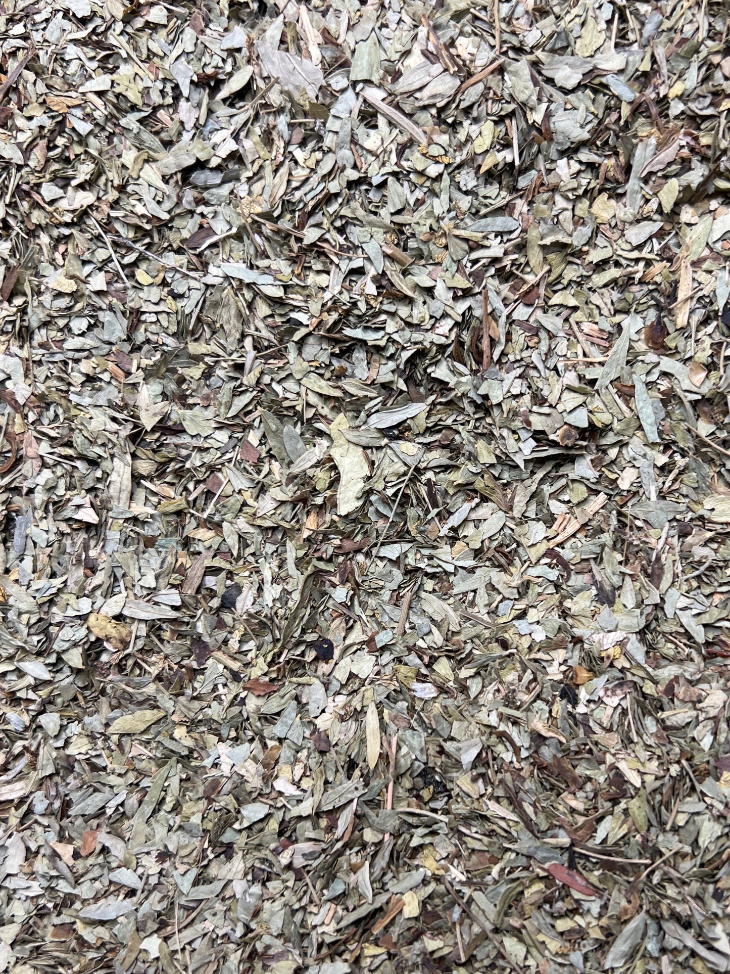 Senna leaf (Senna alexandrina) loose dried herb herbal tea-Non GMO - caffeine free - vegan-100% organic