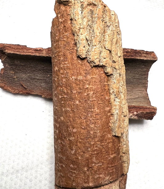 Epo Obo Tree Bark (ficus platyphylla) Anti Witchcraft Bark-100% original & organic-10g