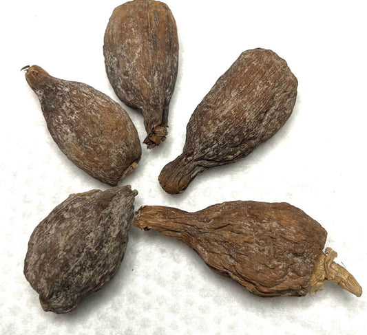 Whole African Alligator Pepper Pods- Ataare Spice|- African Herbs-100% original- 5 whole pieces