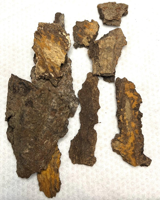 Igi Ahun -Stool Wood Tree Bark/Alstonia Boonei-tree bark-100% original-sacred bark-Anti witchcraft bark-repel negativity-blockage-10g